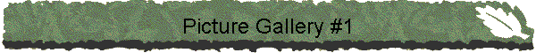 Picture Gallery #1