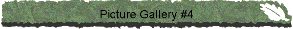 Picture Gallery #4