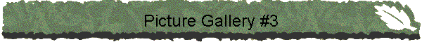 Picture Gallery #3