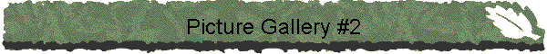 Picture Gallery #2